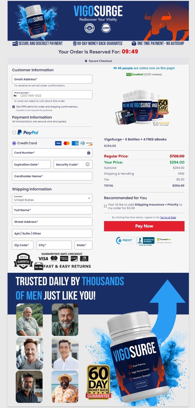 Secure payment checkout for VigoSurge